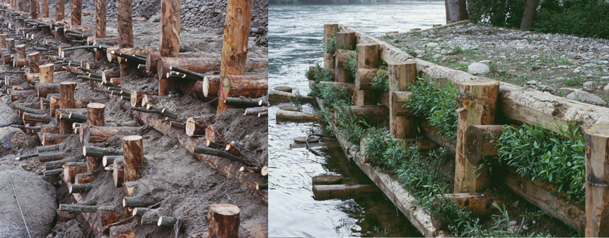 Parco Naturale Valle del Ticino Ente di Gestione - Lavori di recupero e ricostruzione di difese spondali lungo il fiume Ticino danneggiate dall’evento alluvionale dei mesi di ottobre novembre – località Colonia Elioterapica